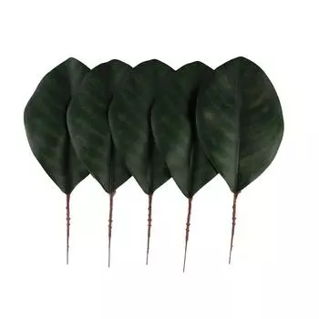 5pcs Natural Style Fake Green Leaves Real Touch Simulation Magnolia Leaf Office Hotel Decor S