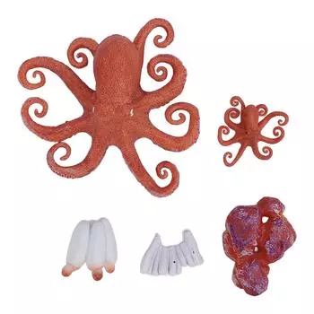 5Pcs Octopus Figurine Toy Educational Simulated Octopus Life Cycle Learning Toy Sea Animals Figurine
