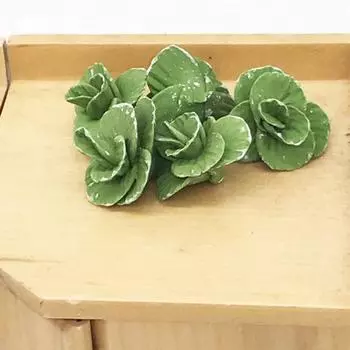 5шт 1:12 Износостойкий кукольный домик Овощ Устойчивый к каплям Творческий миниатюрный пищевой игровой капусты