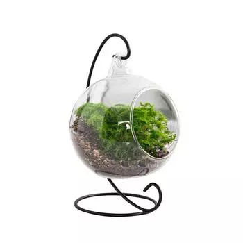 5шт. Подставка для украшений, железный держатель, железная подставка, подарочный держатель для безделушек, цветочная корзина на Рождество