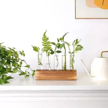 5шт пробирка деревянная ваза цветы растения гидропонный плантатор твердая деревянная основа гидропонная пробирка