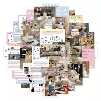 60 листов, наклейка с милым котом, милый американский стиль, настоящая съемка с котом, канцелярская наклейка, сделай сам, декоративная наклейка для скрапбукинга, багажа, телефона