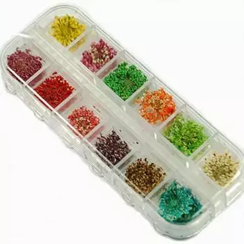 60 шт. настоящие сушеные цветы для дизайна ногтей, сладкие наклейки для украшения своими руками, 1 коробка