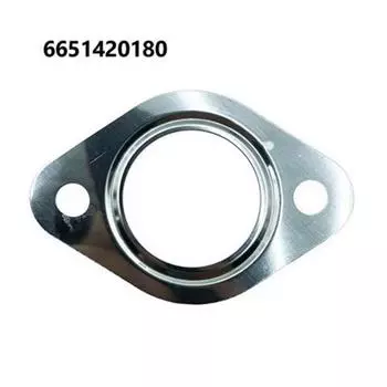 6651420180 Рециркуляция отработавших газов (Egr) Прокладка клапанной крышки для Ssangyong Китайский производитель