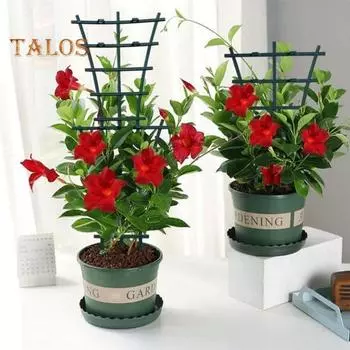 6/8 шт. кронштейн для вьющихся растений, штабелируемая решетка для вьющихся растений, простая в использовании рама для вьющихся растений в помещении, для горшечных растений, комнатное растение 8pcs