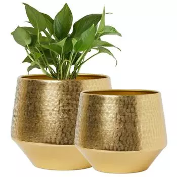 6 дюймов, Упаковка из 2 штук Металлический горшок для растений Eion, Декоративный современный комнатный кашпо для цветов, Декор для дома и сада, Кашпо для гостиной, спальни