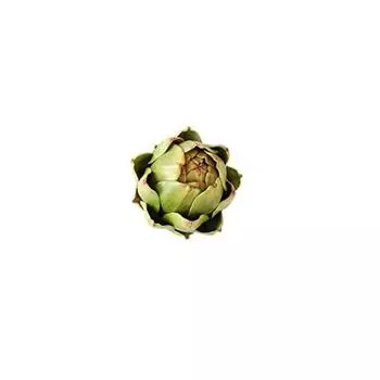 6-piece Set Of Artificial Artichoke Vegetables And , Suitable For Home Wedding Table Decoration (green) One Size