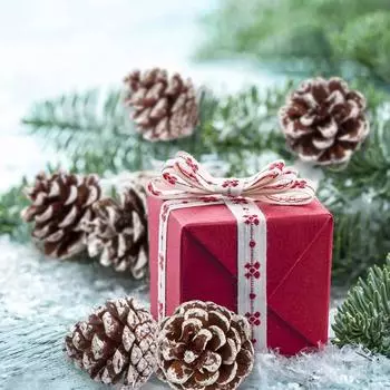 6 Рождественские украшения, Украшение в виде сосны, Подвеска в виде шишки основного цвета, Подвеска в виде шишки с белой каймой, Рождественские украшения 6pcs