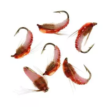 6 шт. #12 #14 классическая нимфа муха-червь для ловли форели мушки нимфы насекомое приманка коричневый цвет 6 pcs 12# красный