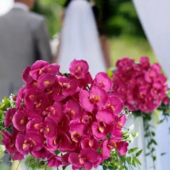 6 шт. 26,7-дюймовый длинный стебель искусственный цветок фаленопсис нетканый материал европейский реквизит для фотографий обеденный стол свадьба украшение для дома на открытом воздухе белый