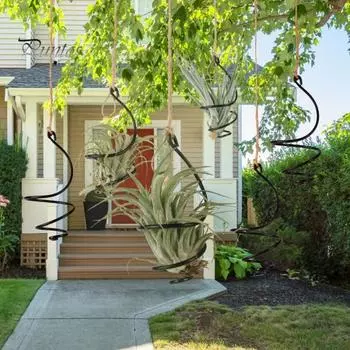 6 шт. держатель для воздушных растений металлический подвесной контейнер для тилландсии регулируемый вихревой держатель для воздушных растений для домашнего офиса балкона садовый декор Sets