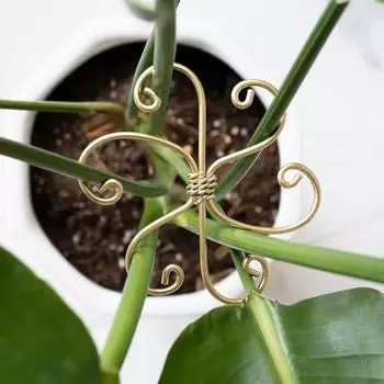 6 шт. держателей для стеблей растений, металлическая опора для растений Monstera, универсальный набор бамбуковых зажимов для вьющихся растений, бонсай, для помещений и улицы 6pcs
