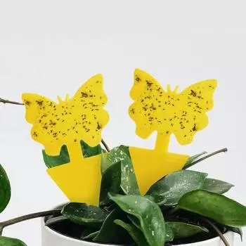 6 шт. двухсторонняя липкая доска, водонепроницаемая УФ-ловушка для фруктовых мух, устойчивая к запаху, для детей и домашних животных