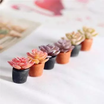 6 шт. имитация сочного цветочного горшка, миниатюры, садовый кукольный домик, микропейзажное украшение, реалистичная красочная фигурка растения High 2.3cm