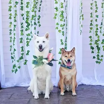 6 шт. искусственная лоза многоразового использования добавляет атмосферу 5 стилей стильное 72 листьев растение поддельное для вечеринки C