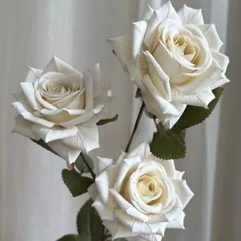6 шт. искусственных роз цвета мокко 67 см искусственный цветок реалистичный стебель шелковые розы букет для самостоятельного свадебного домашнего декора центральный элемент отеля день святого валентина день матери 6 Pcs слоновая кость