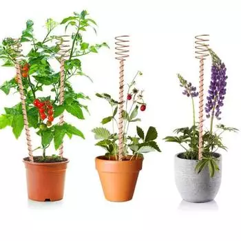 6 шт. медные колья для электрокультуры, медная катушка, садовые монтажные антенны, экологически чистые высокодоходные легкие растения, длинные садовые колья, аксессуары