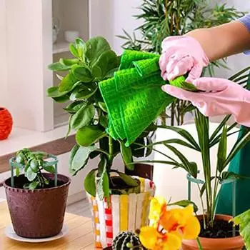 6 шт. полукруглая опора для растений, устойчивая к атмосферным воздействиям пластиковая посадка томатов, опорное кольцо для цветов для сада 25cm