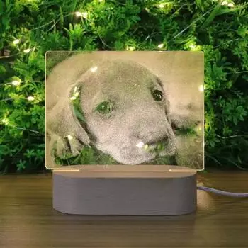 6 стилей 3D ночник новинка мультфильм собака кошка лампа USB светодиодная спальня Decora освещение друзья дети дети подарок на день рождения 001