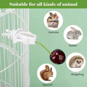 6pcs Birds Food Holder Pet Parrot Feeding Fruit Vegtable Clip Cuttlefish Bone Feeder Device Pin Clamp Bird Cage Accessories белый