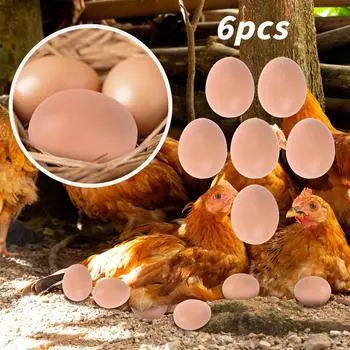 6шт манекен Oeufs Faux Oeufs Plastique Aide Pondre Poule