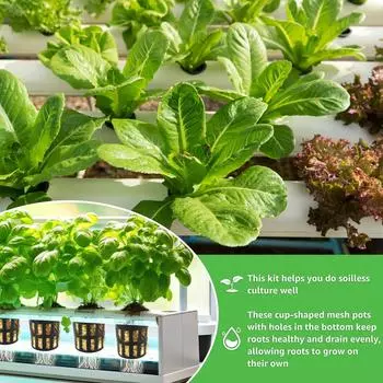 72 шт. кубов для выращивания растений из каменной ваты, субстрат для гидропоники, беспочвенный субстрат, рассадный блок для системы выращивания гидропоники