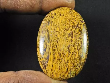 72Cts?AAA натуральный ископаемый многоцветный лечебный редкий драгоценный камень Marium 31X46X5 мм SK-1094