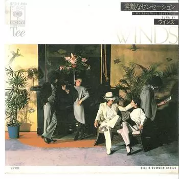 7-дюймовая пластинка WINS - Suteki Na Sensation / Summer Breeze 07SH845 TEE 1980 Япония Японская поп/рок-музыка б/у