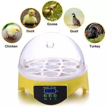 7 яиц, инкубатор для куриных птиц, инкубационная машина для яиц, автоматический интеллектуальный контроль температуры, брудер для перепелов, попугаев, сельскохозяйственные принадлежности EU Plug