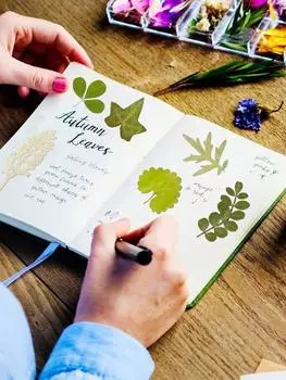 84 шт. натуральной ассорти из сухой зелени, сушеных листьев, прессованных цветов с пинцетом для форм из смолы для поделок, мыла, свечей, украшений для скрапбукинга