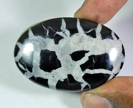 85Cts. Натуральный септарий гронетс овальный кабошон россыпью драгоценный камень 30X44X06MM PP-231