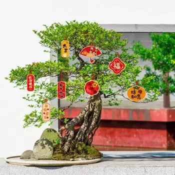 8/10 шт. изысканные неувядающие благоприятные новогодние подвески с китайскими элементами для гостиной D