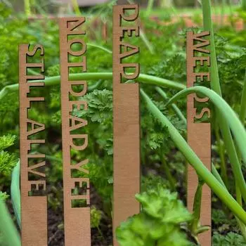 8/12 шт. деревянные садовые маркеры, набор выгравированных меток для растений, легкая вставка, садовая бирка, доска для комнатных и уличных растений A
