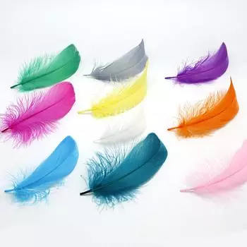 8-13 см 50 шт./пакет окрашенные гусиные перья аксессуары для украшения интерьера своими руками 8-13cm 50pcs/bag