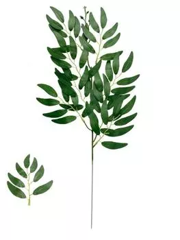 8 шт. искусственные зеленые растения, искусственные листья эвкалипта, цветочная композиция, аксессуары, искусственные листья эвкалипта, искусственные растения для украшения дома, вечеринки
