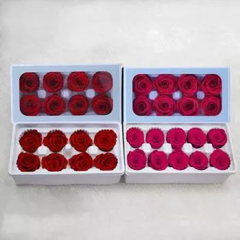 8 шт., консервированная роза, красота, не выцветающая, реалистичная вечная цветочная композиция, подарок для украшения дома, вечеринки