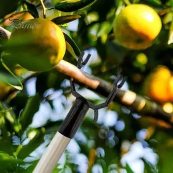 8 шт. Металлическая опора для веток фруктовых деревьев, опорное устройство для веток, набор для выпрямления и наклона деревьев, подпирание веток, садовые колья чёрный