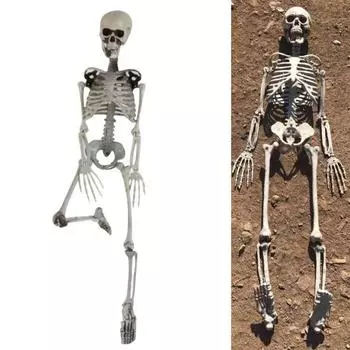 90 см имитация человека, модный скелет, украшение для вечеринки, дома, Хэллоуина, вечерние украшения для бара, реквизит для дома с привидениями белый
