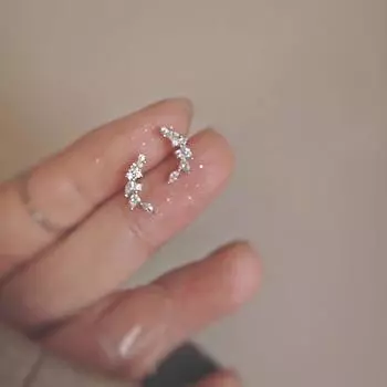 925 Silver Needle Exquisite Small Zircon Wheat Stud Earrings Minimalist Minority Design Earrings Fashion Ear-Caring Ear Rings Silver