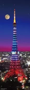 Светящийся пазл из 954 деталей с ночным видом на телевизионную башню Токио (34x102см)