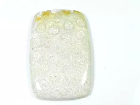 95Cts. Натуральный ископаемый коралловый восьмиугольный кабошон россыпью драгоценный камень 33X53MM SK-1476