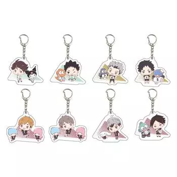 A3 Sanrio Characters 02 Мини-иллюстрация персонажа Акриловый брелок для ключей Коробка из 8 Haikyu!!Икс
