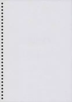 A4 high quality white paper 55kg 30 holes printer paper with file holes leaf hole white paper 30 500 sheets (loose pitch) (A4 holes plain)