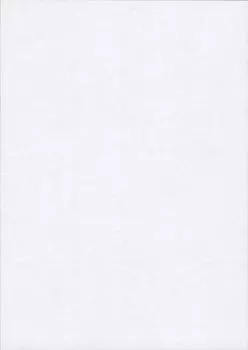 A4 high quality white paper 55kg 4 vertically x 2 horizontally divided into 8 perforated paper blank 8 500 sheets sections/micro (A4 sides)
