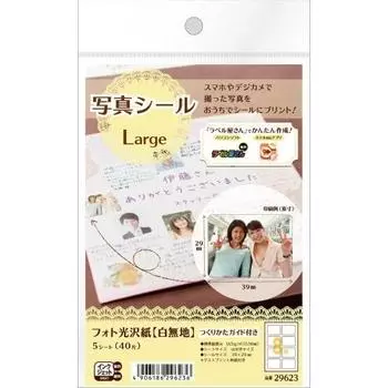 A-One Фотонаклейка Глянцевая бумага для фото 8 страниц 5 листов 29623