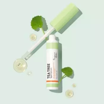 A PIEU The Pure Tea Tree Spot Serum 8 мл