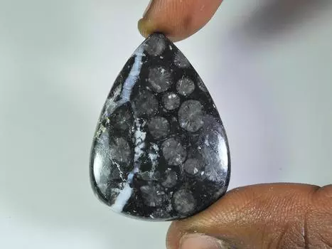 AA++ 44 карата. Натуральный черный ископаемый коралловый грушевидный кабошон россыпью драгоценный камень 28X39X4 мм ET-294