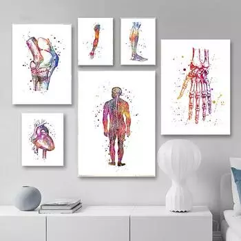 Абстрактная анатомия плакат скандинавский холст настенная живопись акварель меридиан живопись для медицинской гостиной украшение дома декор 21x30cm No Framed