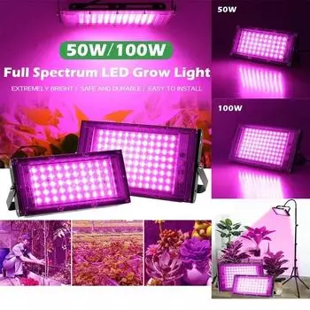 AC 220V Full Spectrum LED Grow Light Phyto Lamps 50W 100W 200W 300W с вилкой ЕС для тепличного гидропонного освещения для выращивания растений 220V