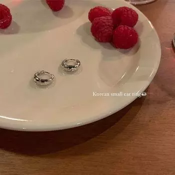 Accessible Luxury Ins Premium Design Female Stud Earrings A pair of all-match ear rings